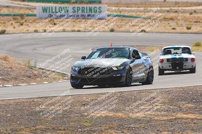 media/Oct-25-2025-West Coast Racing (Sat) [[9fdcbcd09c]]/Yellow group/Turn 4/